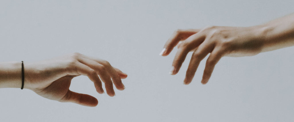 Interconnectedness of Life