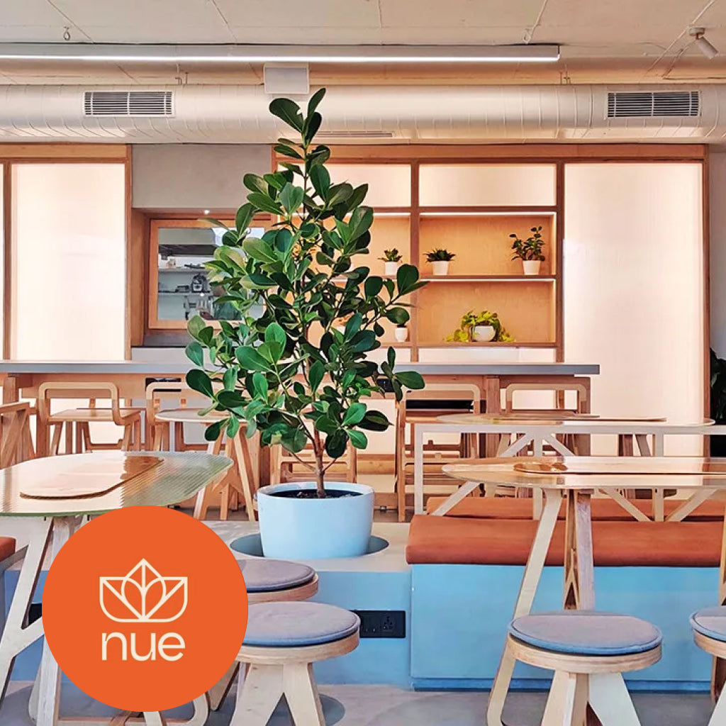 cafe-nue