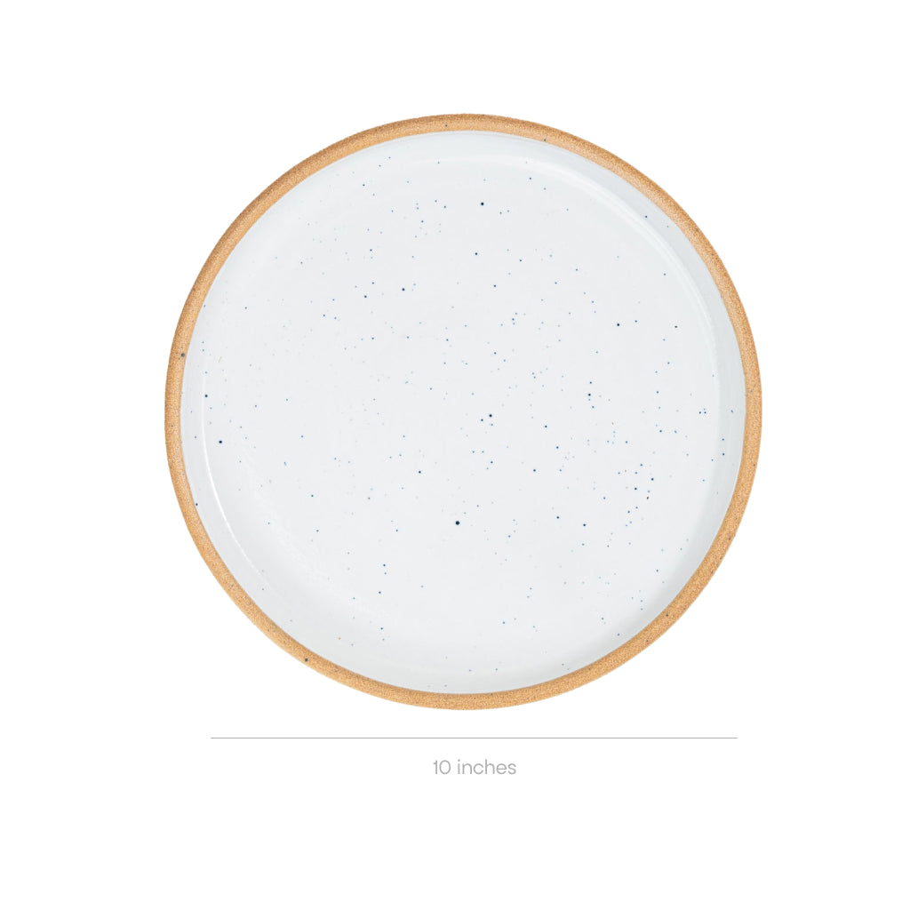 speckled-snow-large-coupe-plate-2