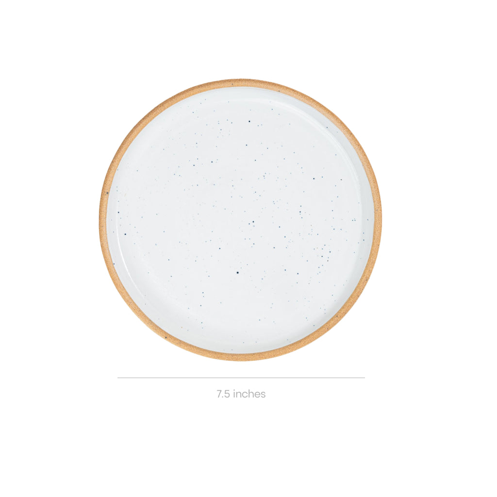 speckled-snow-small-coupe-plate-4